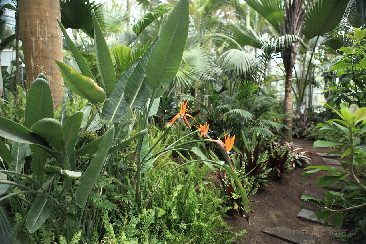 EOS 5D Mark II16_04_20134968.JPG